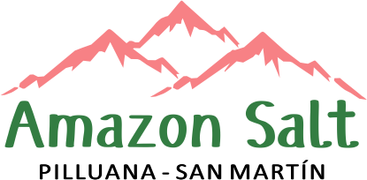 Cerro Sal Logo